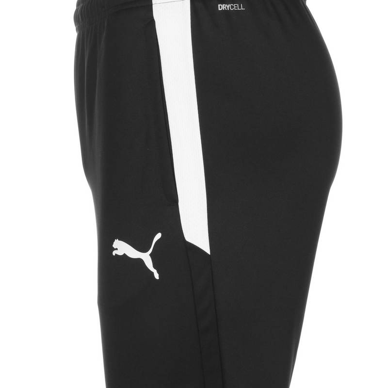 PUMA Team LIGA Trainingshose Herren