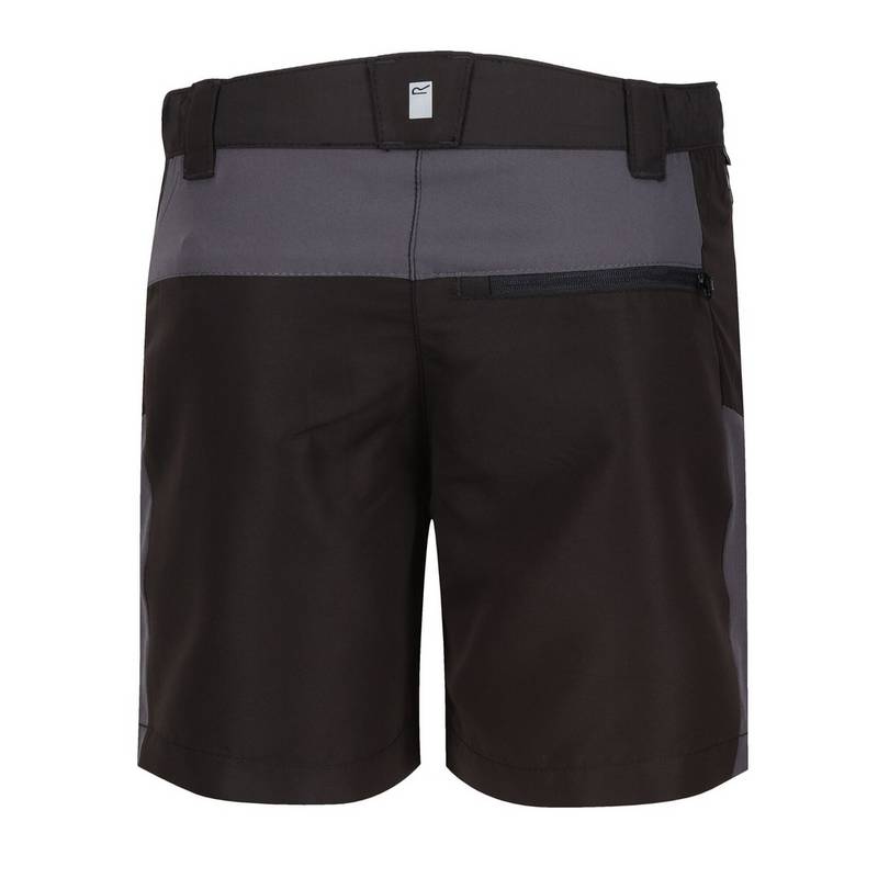 Regatta Sorcer Mountain III Shorts Kinder