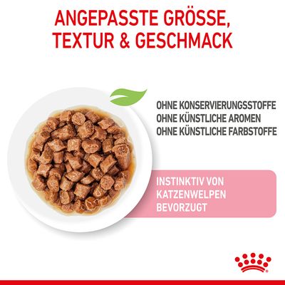 Royal Canin Kitten in Soße