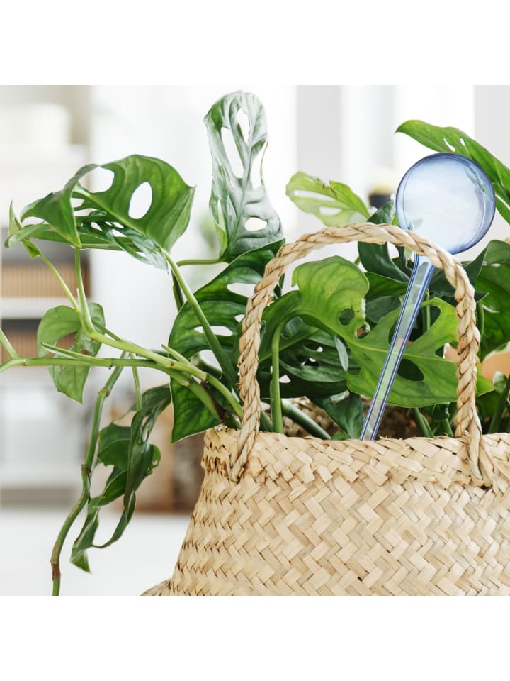 relaxdays 4x Bewässerungskugeln in Transparent günstig kaufen onesize