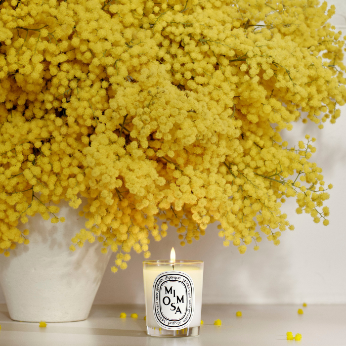 Mimosa - Bougie petit modèle