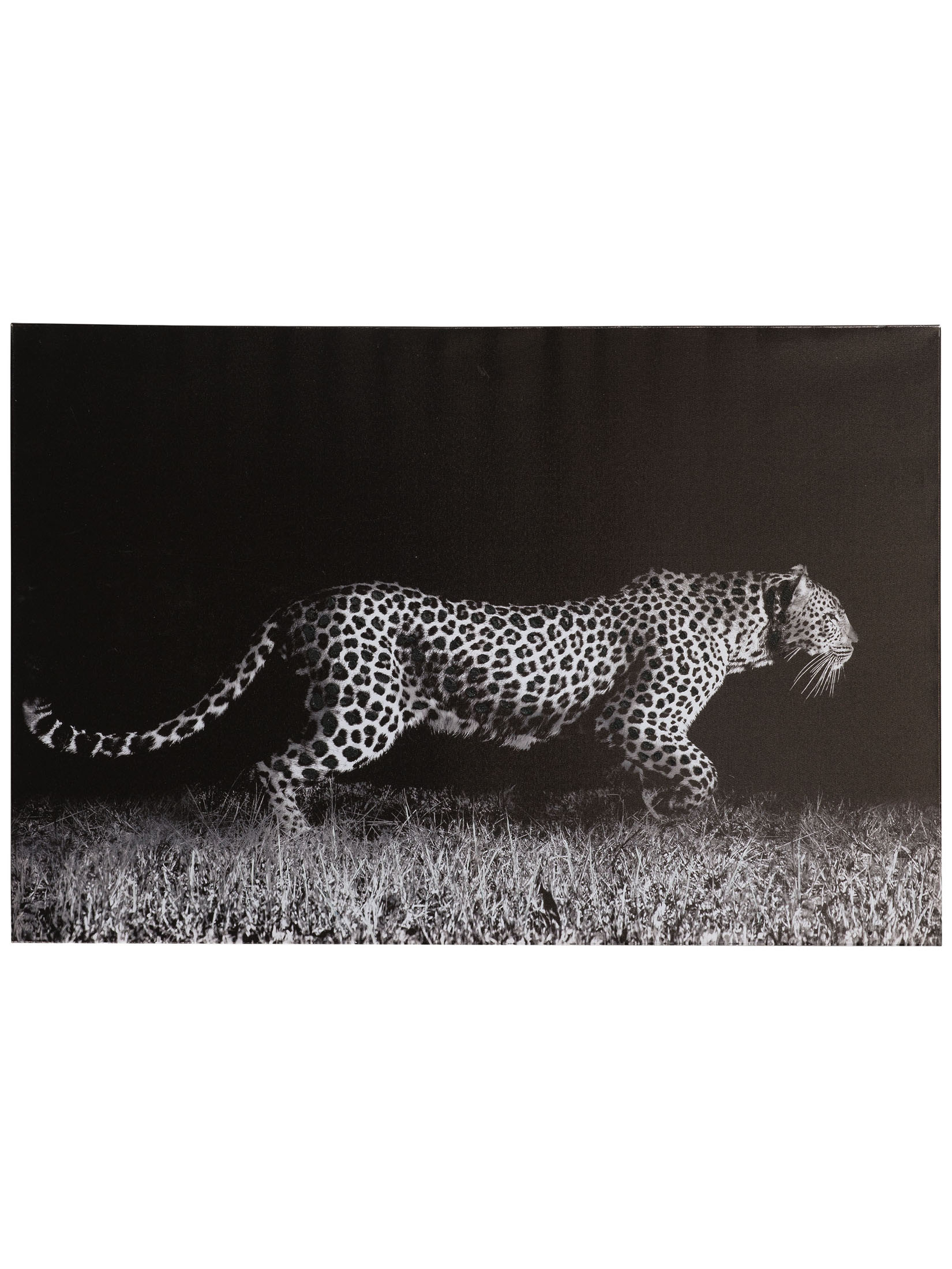 Leopard auf der Jagd Leinwand-Druck-handbemalt, Grau