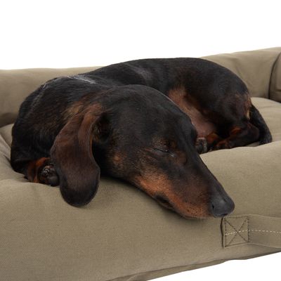 Modern Living Hundebett Toronto ecoLIFE