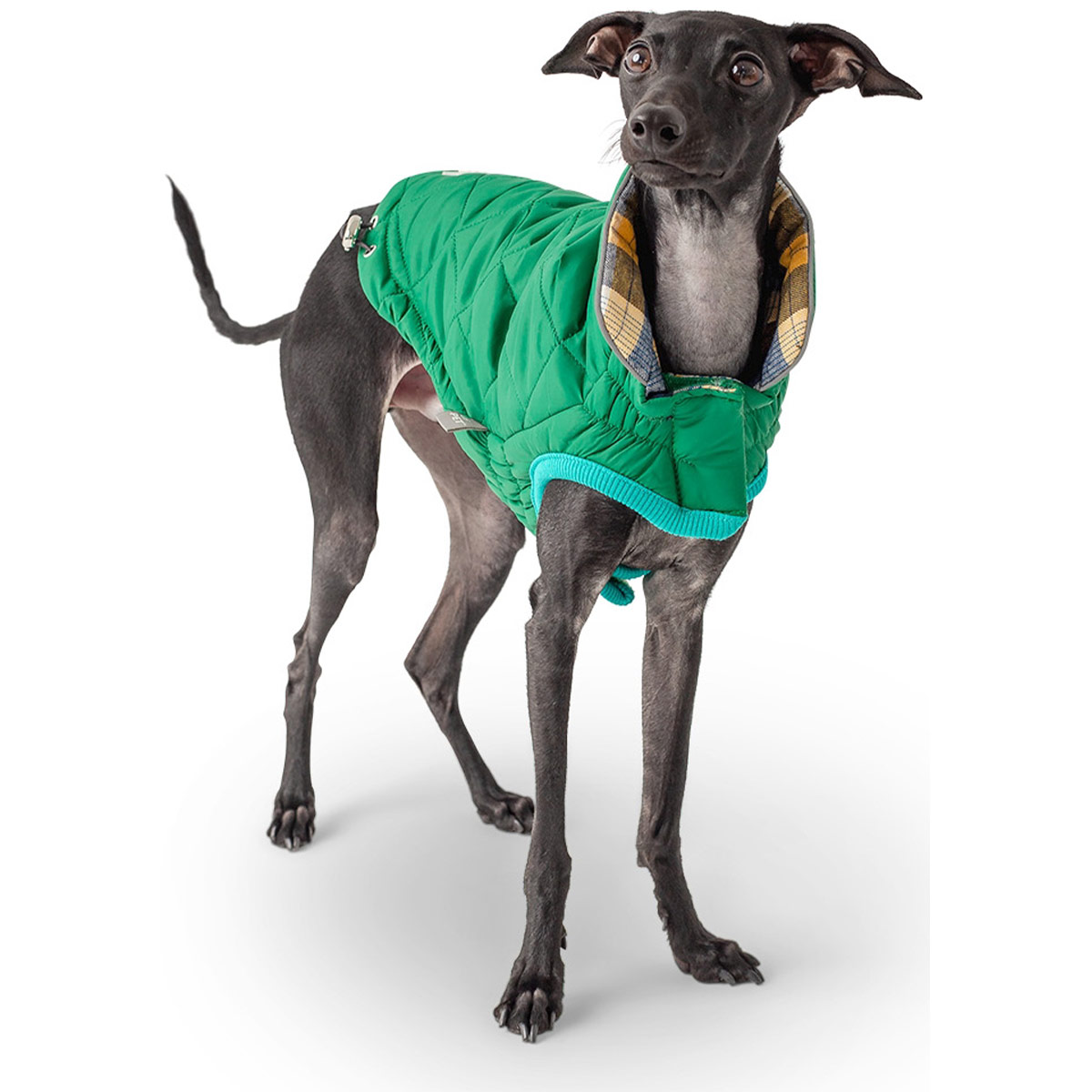 GF Pet Reversible Trail Jacke grün günstig kaufen bei ZooRoyal