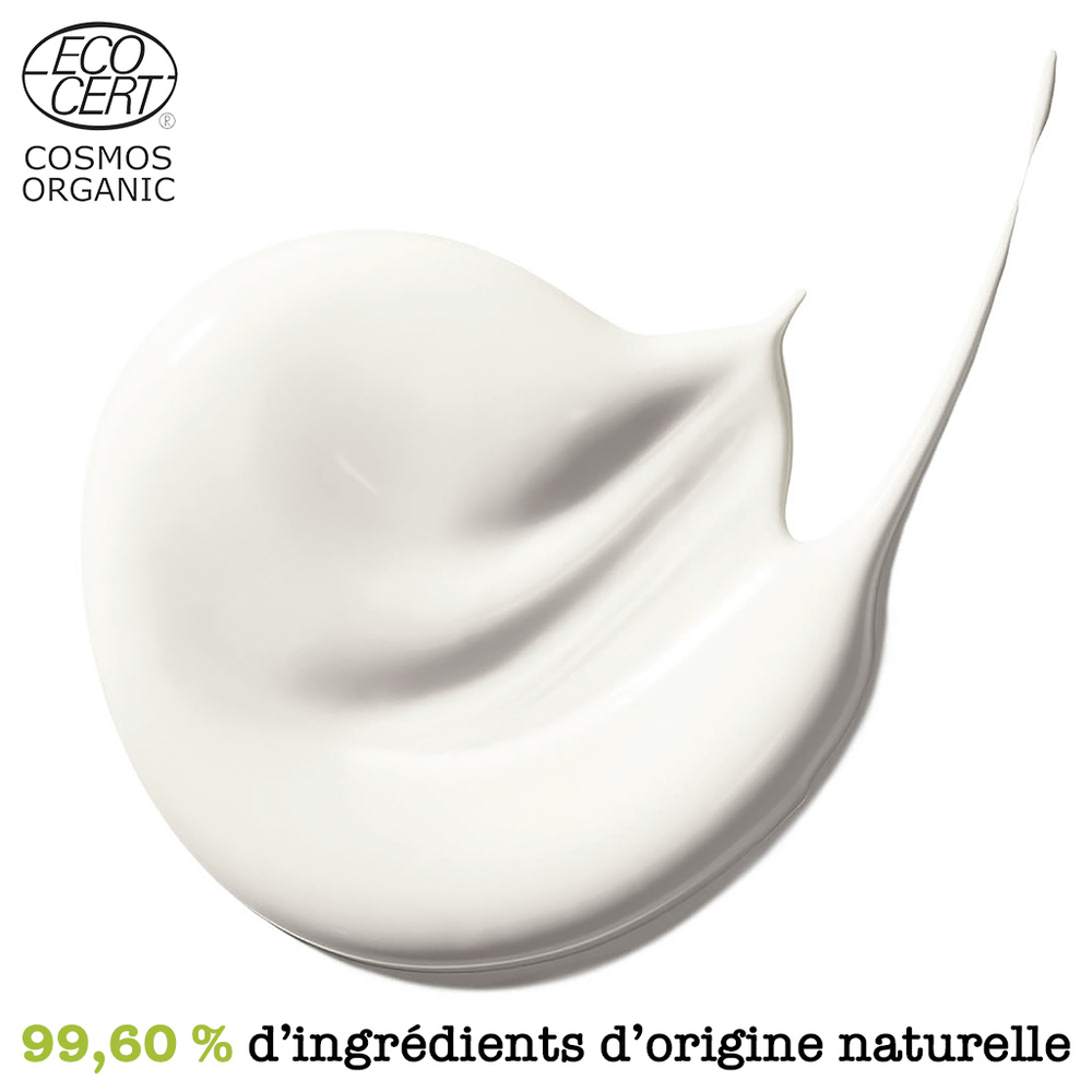 The Organic Hemp Line Crème de nuit Nourrissante pour le Visage Soin Naturel et Biologique au Chanvre