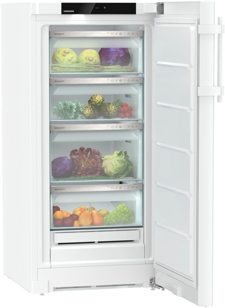 Liebherr Kühlschrank RBa 4250-20, 125,5 cm hoch, 59,7 cm breit, mit BioFresh