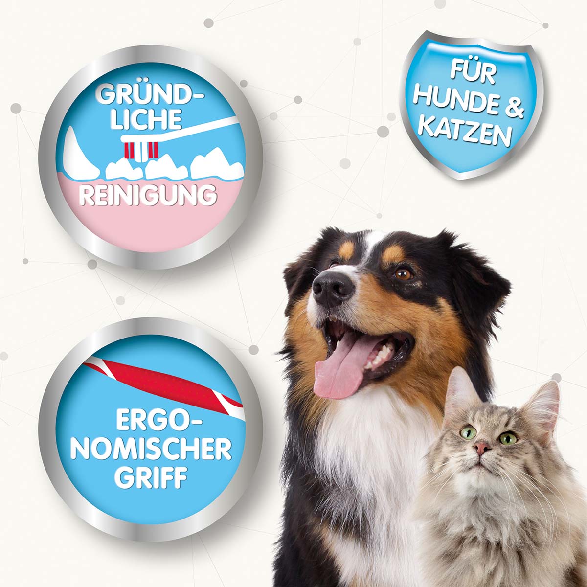 beaphar Zahnbürste für Hunde und Katzen kaufen