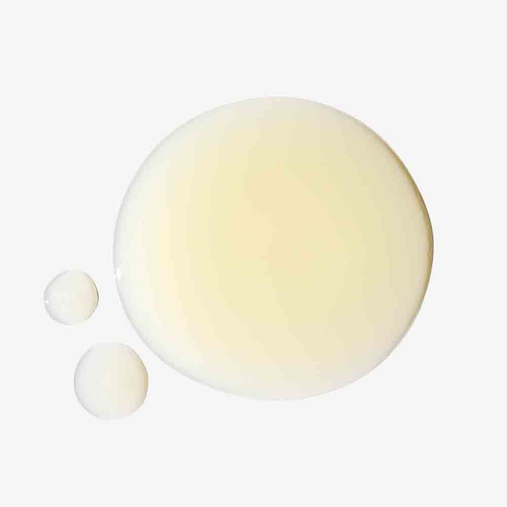 Transparent Lab Serum Gentle Rejuvenation Serum - Anti-Aging Gesichtsserum