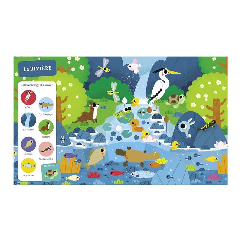 Livre Tous à l'eau ! - Auzou