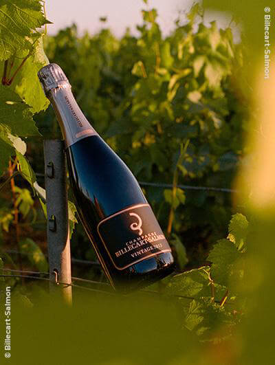 Billecart-Salmon : Vintage 2013