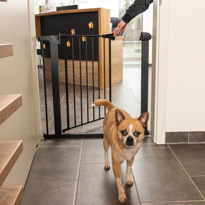 TIAKI Schwarzes Hundegitter mit 7 cm Verlängerung