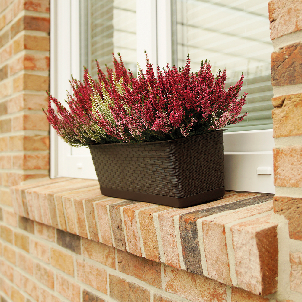 Protanic Powertec Garden Pflanzkasten 2er-Set