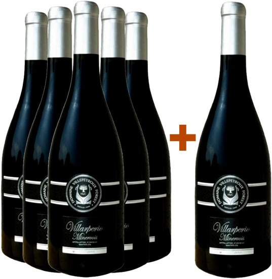 5+1 Paket Villarpério - Domaine Villepeyroux Forest