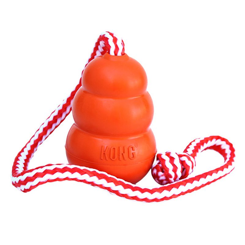 KONG Aqua Hundespielzeug zu TOP-Preisen