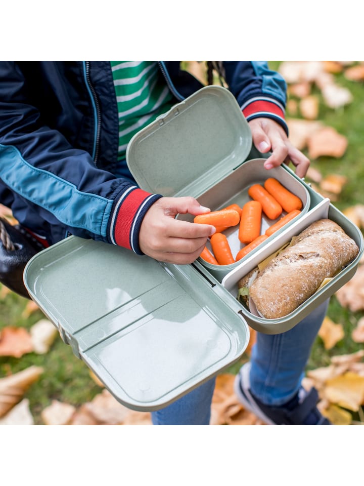 koziol PASCAL L * - Lunchbox mit Trennsteg in organic green günstig kaufen onesize