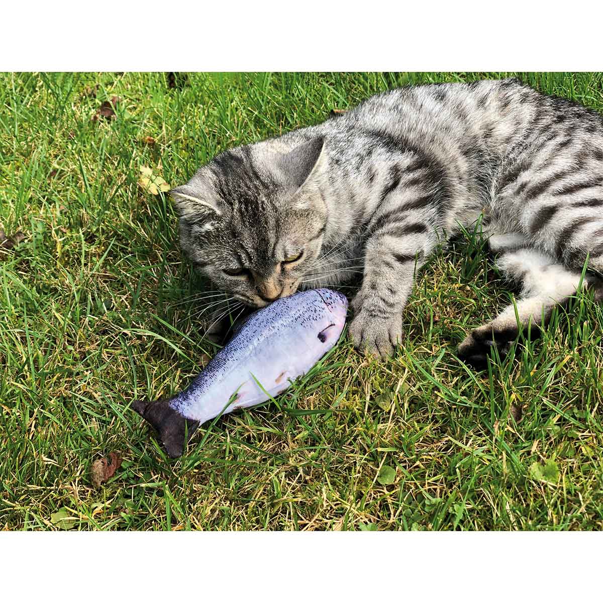 Aumüller Spielzeug Forelle mit Katzenminze u. Silvervine