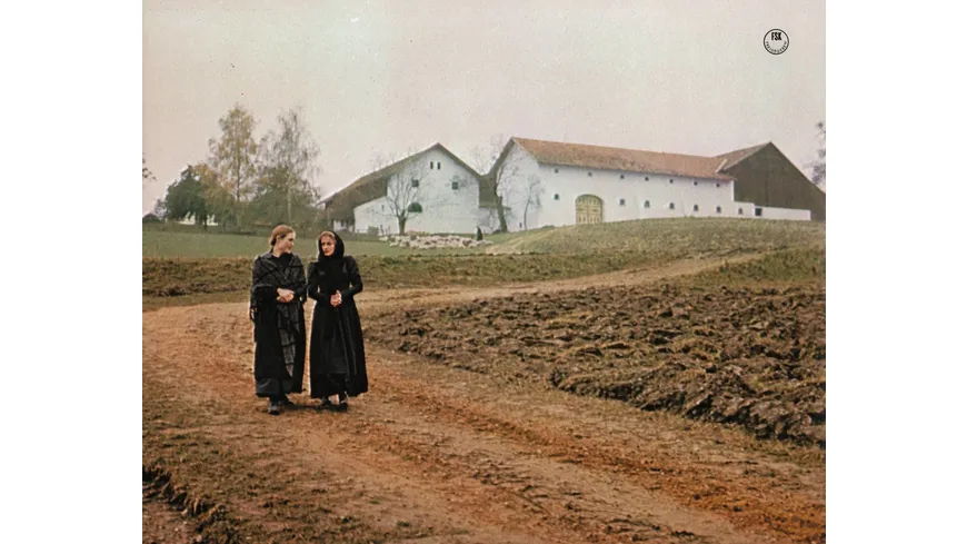 Der Sternsteinhof (Filmjuwelen)