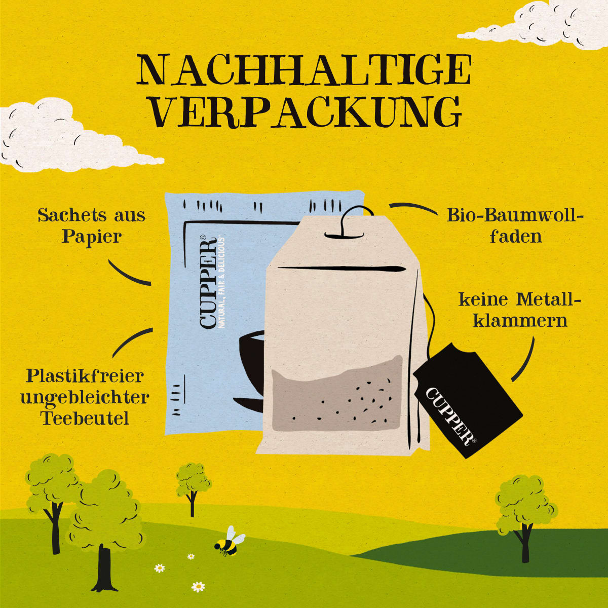 For You Selection Teas & Infusions Box, 8 verschiedene Sorten (24 Beutel), 43 g