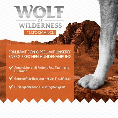 Wolf of Wilderness 