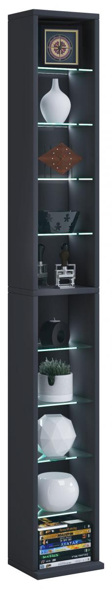 VCM Regal Rasato XL Schwarz