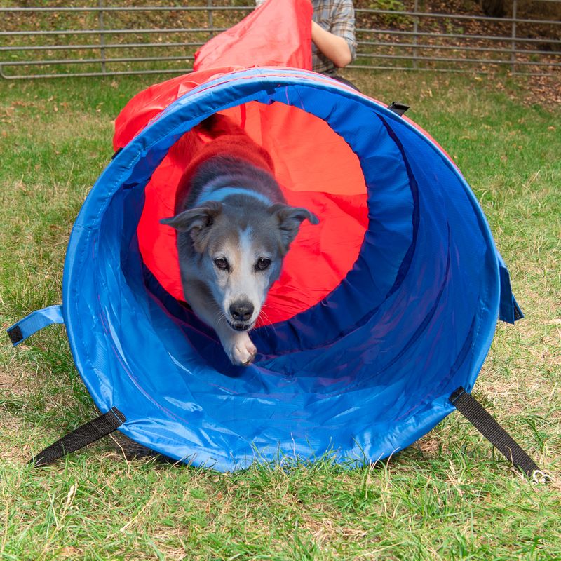 Agility Fun & Sport Sacktunnel zu TOP-Preisen