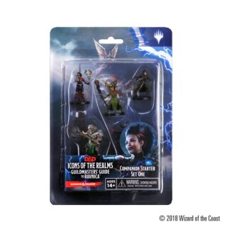 D&D Icons of the Realms: Set 10 Companion Starter One (EN)