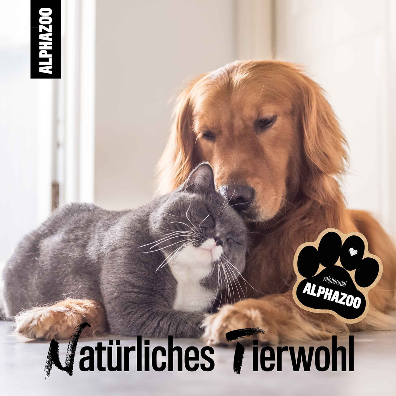 ALPHAZOO Ergänzungsfutter & Aufzucht ALPHAZOO Seelenruhe Futteröl für Hunde und Katzen 500 ml