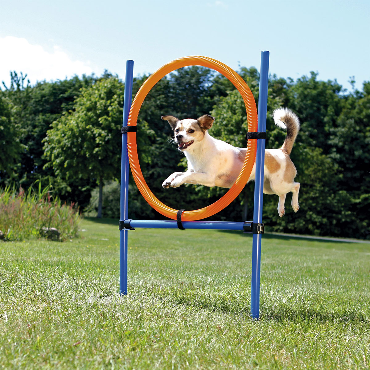 Trixie Dog Activity Agility Ring kaufen