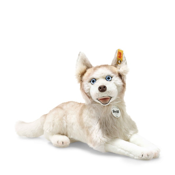 Siberian Dui Husky, 35 cm, weiß