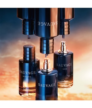DIOR Sauvage Refill Parfum-300 ml