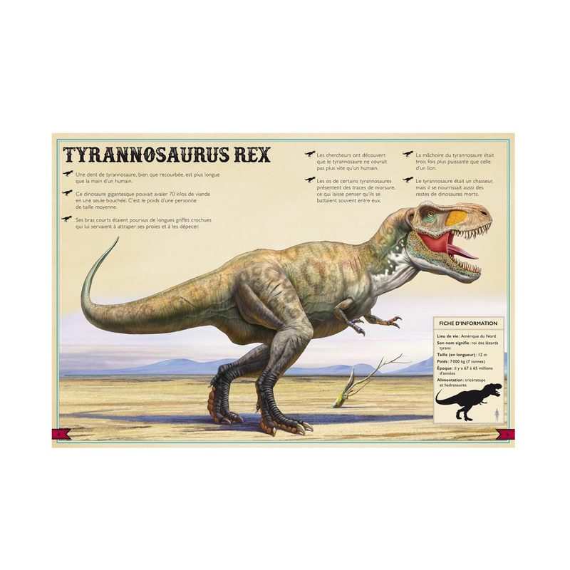 Livre Le livre extraordinaire des dinosaures - Little Urban