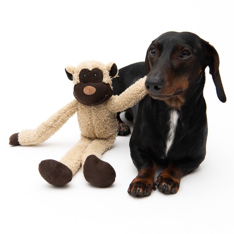 Hundespielzeug King Louiiie zu TOP-Preisen