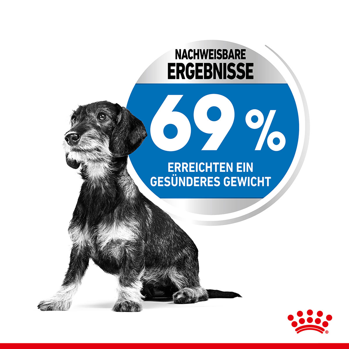 Royal Canin CCN Light Weight Care X-Small 1,5kg bei ZooRoyal
