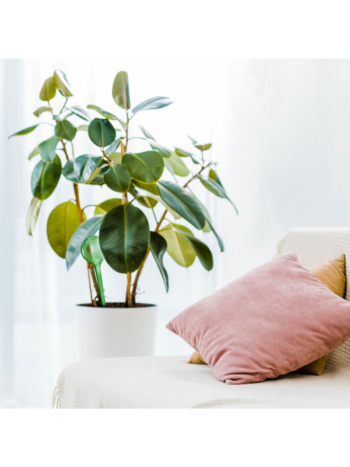 relaxdays 5x Bewässerungskugel in Grün günstig kaufen onesize
