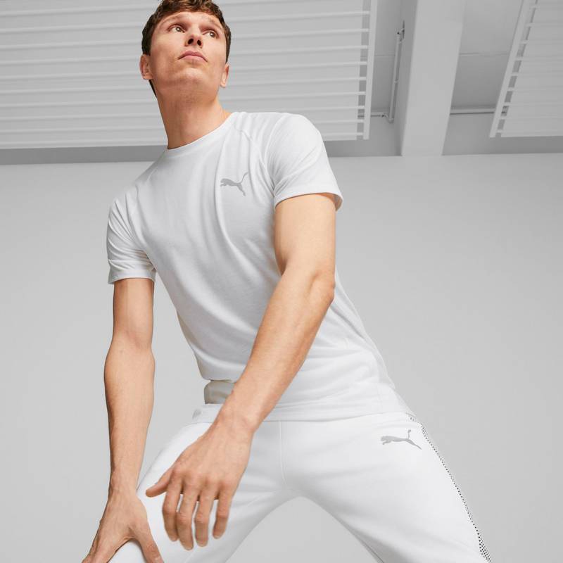 PUMA Evostripe Funktionsshirt Herren