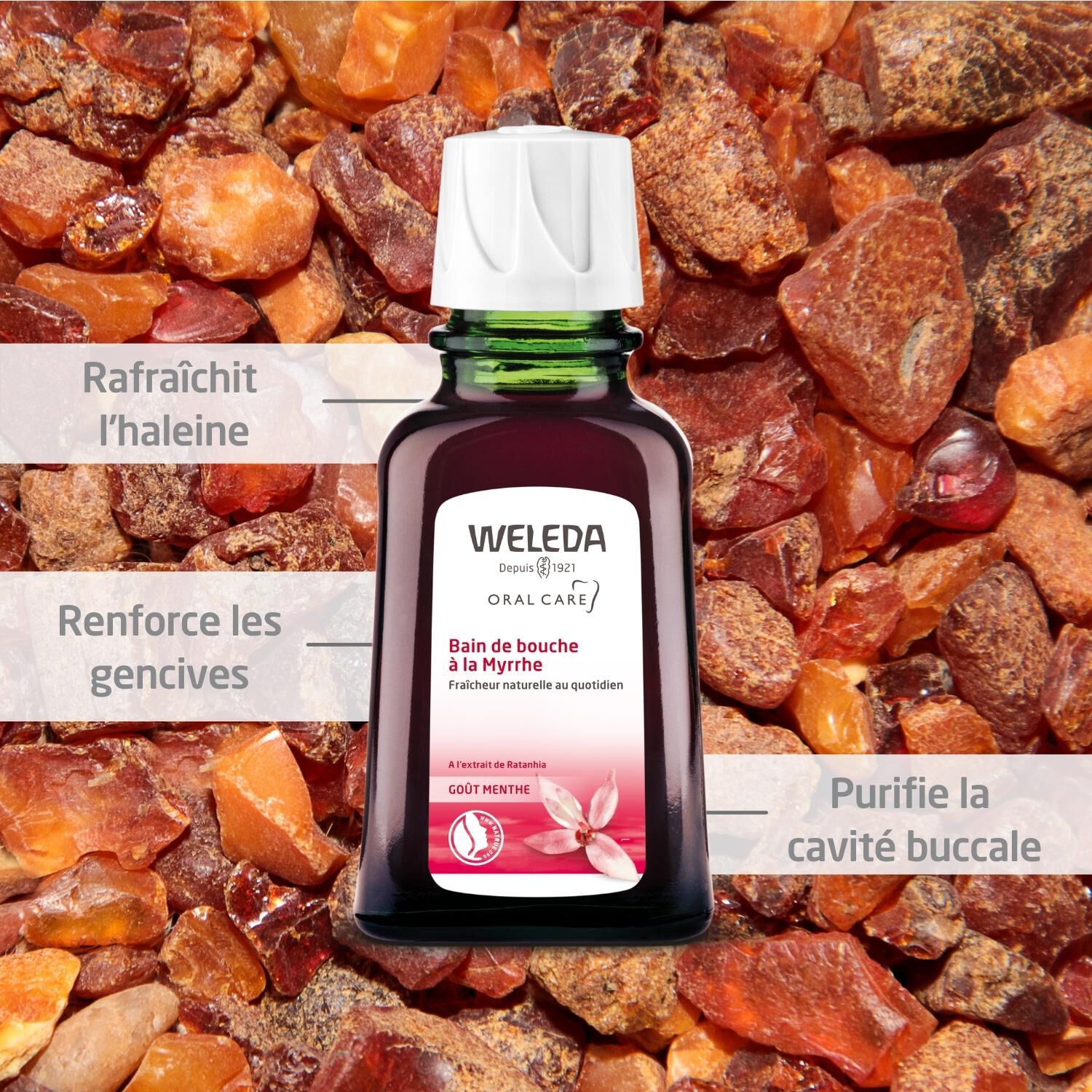 Weleda Myrrhe Bain de Bouche - À Base d'Huiles Essentielles - 50 ml