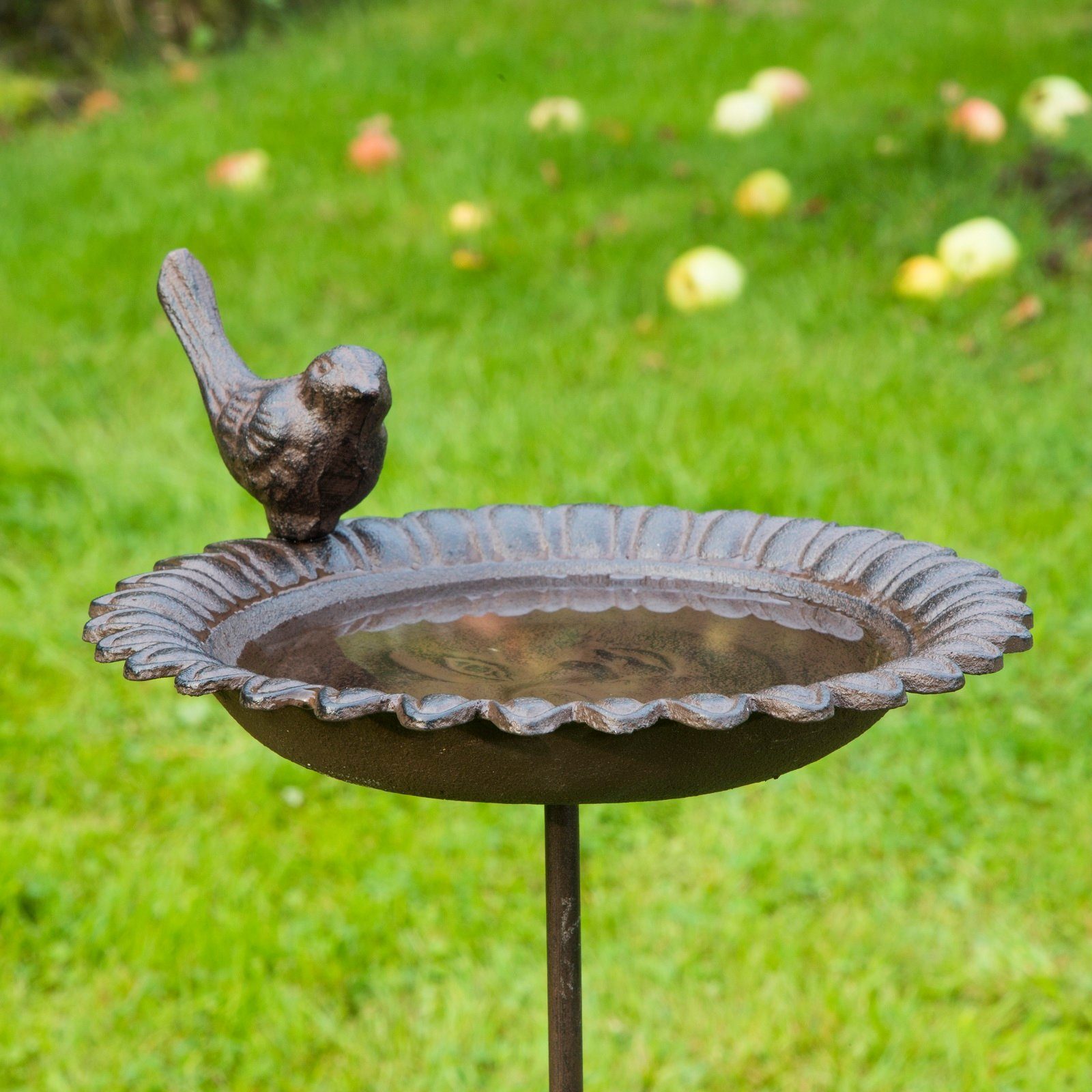 GartenHero Vogeltränke Vogeltränke Erdspieß Gusseisen Vogelbad Wasserschale Wasserspender Schale Vögel
