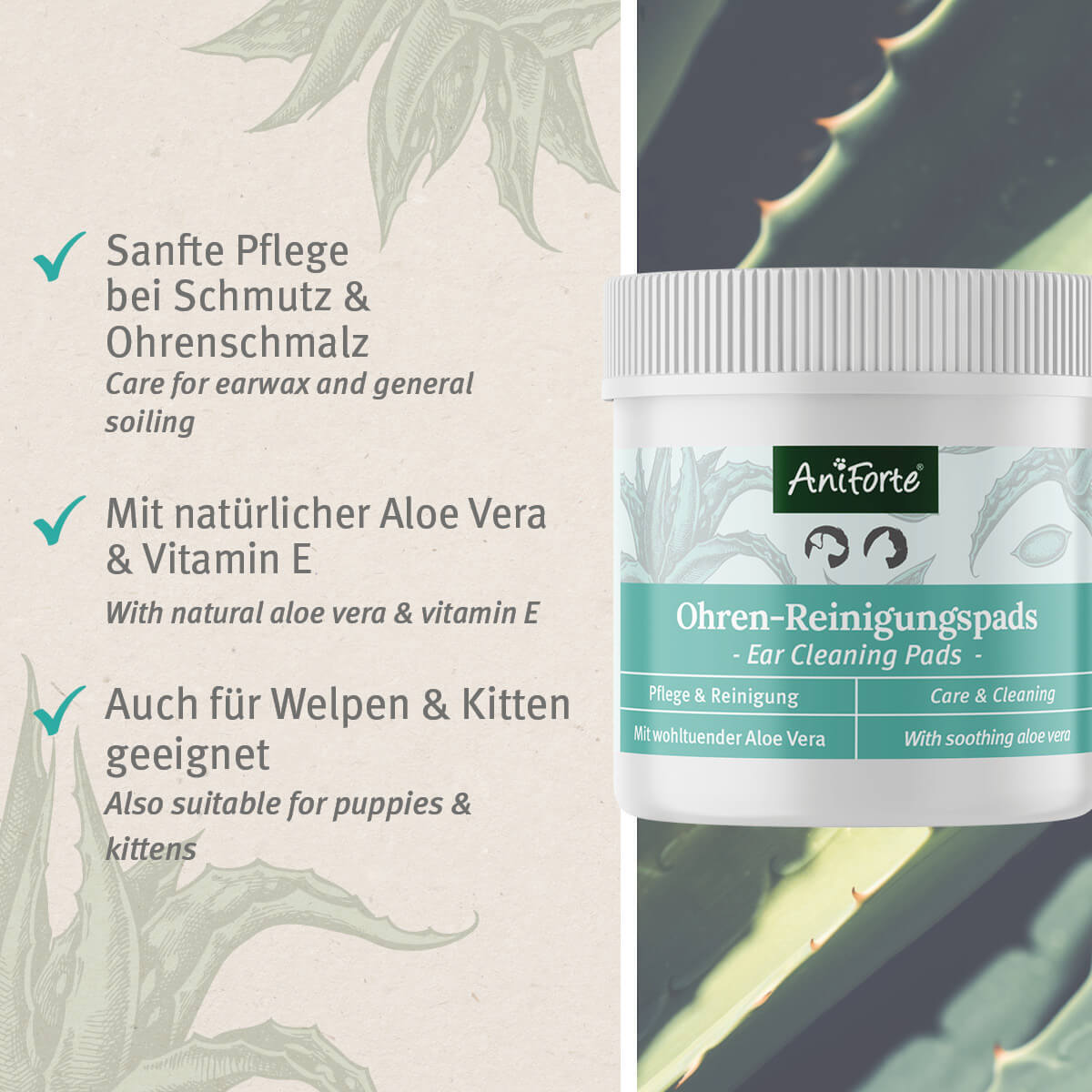 Aniforte Augen- & Ohrenpflege Aniforte Ohren-Reinigungspads Ohrenpflege Pads 100 Stück