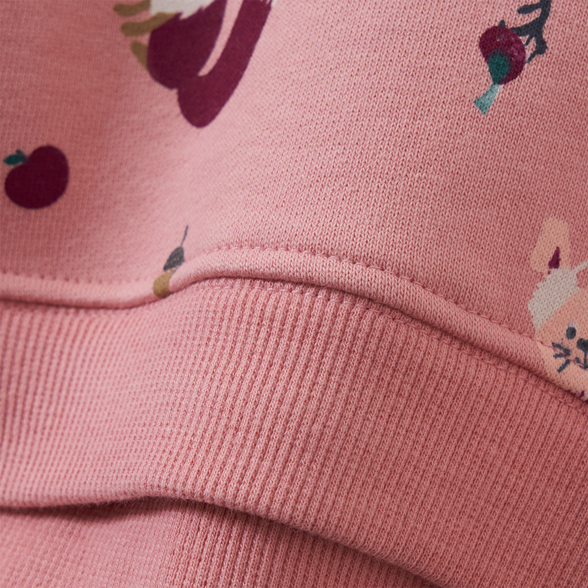 Baby Sweatshirt mit Tier-Allover