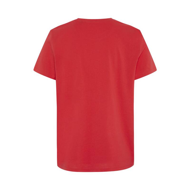 Chiemsee T-Shirt T-Shirt Herren