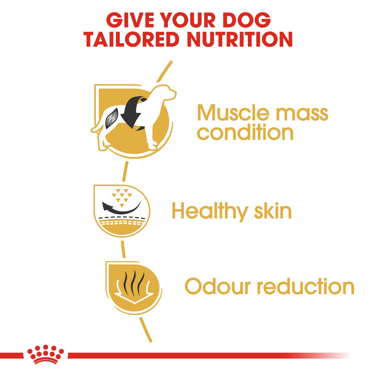 ROYAL CANIN French Bulldog Adult 3kg + Medium Adult in Soße 10x140g