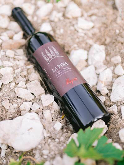 Allegrini : La Poja Corvina Veronese 2017