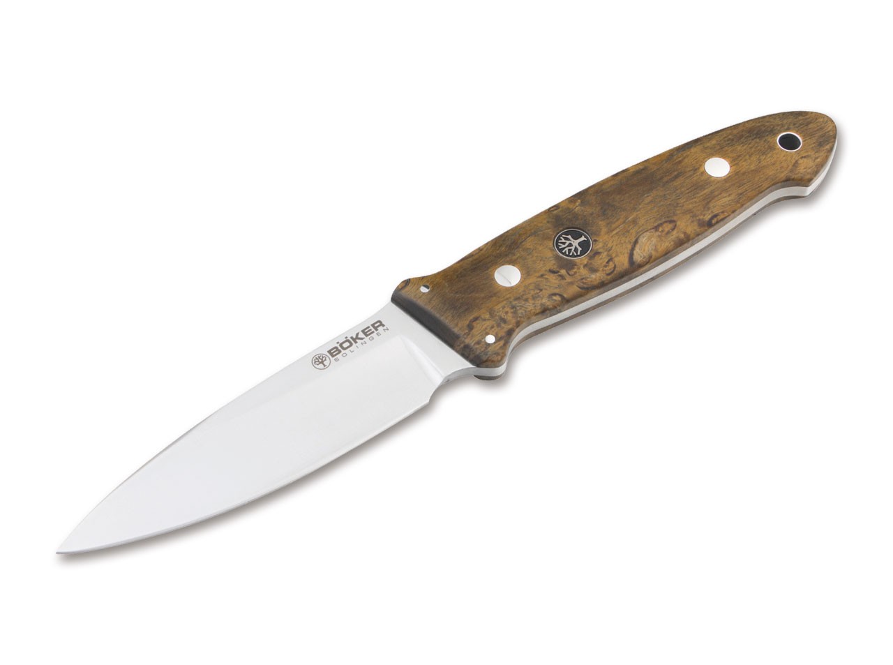 Cub Maserbirke Braun