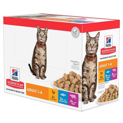 Hill's Science Plan Adult Huhn