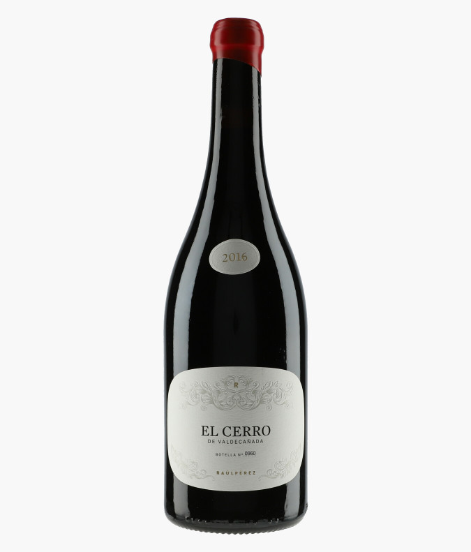 El Cerro de Valdecanada 2016PEREZ RAUL