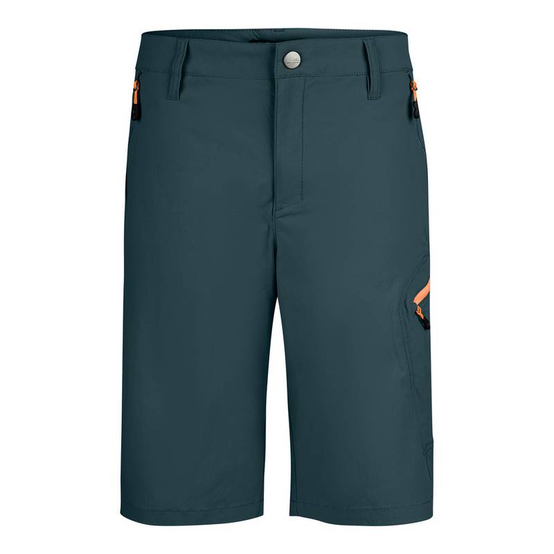 Jeff Green Jam Funktionsshorts Herren