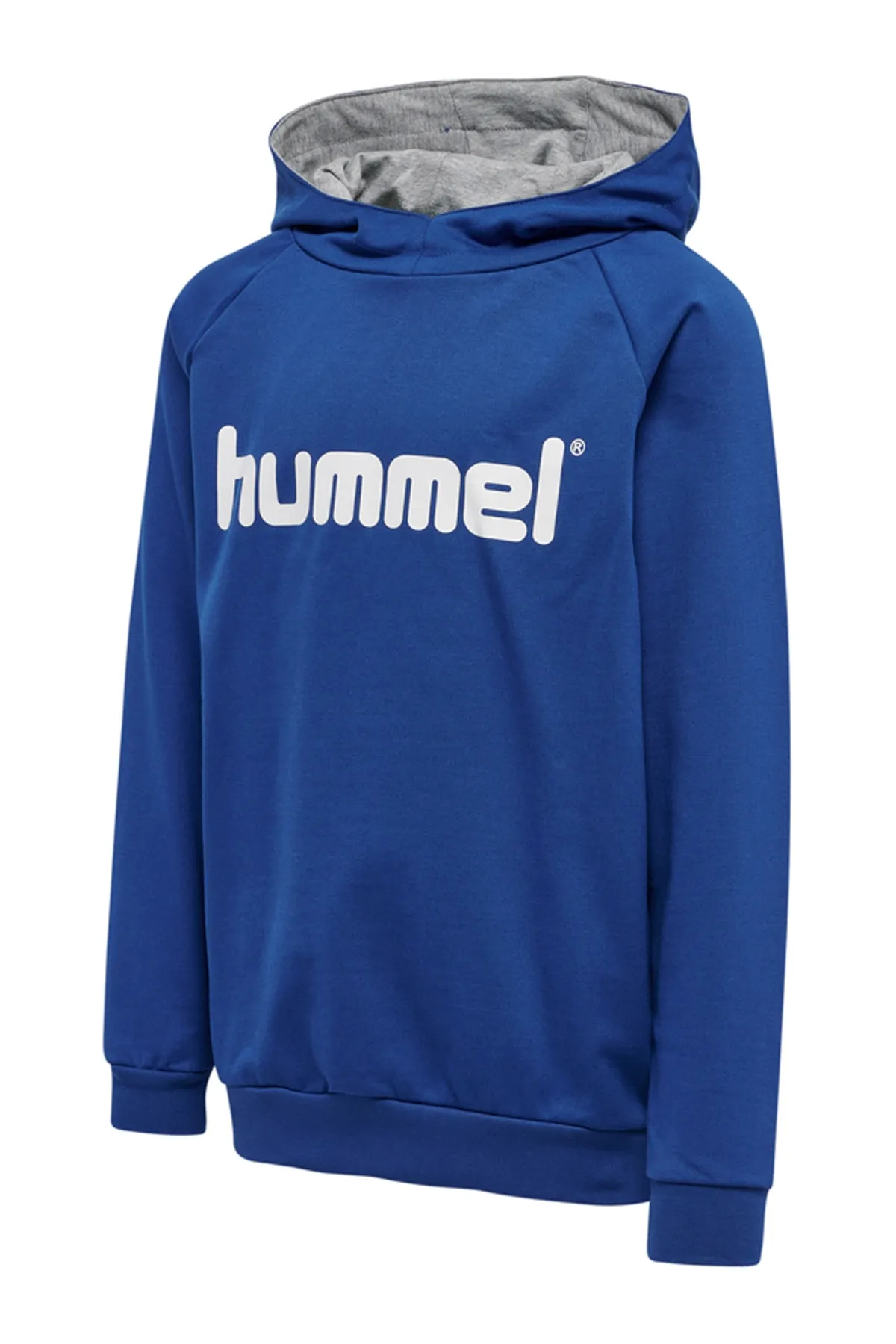 hummel  HMLGO KIDS BAUMWOLL-LOGO-HOODIE