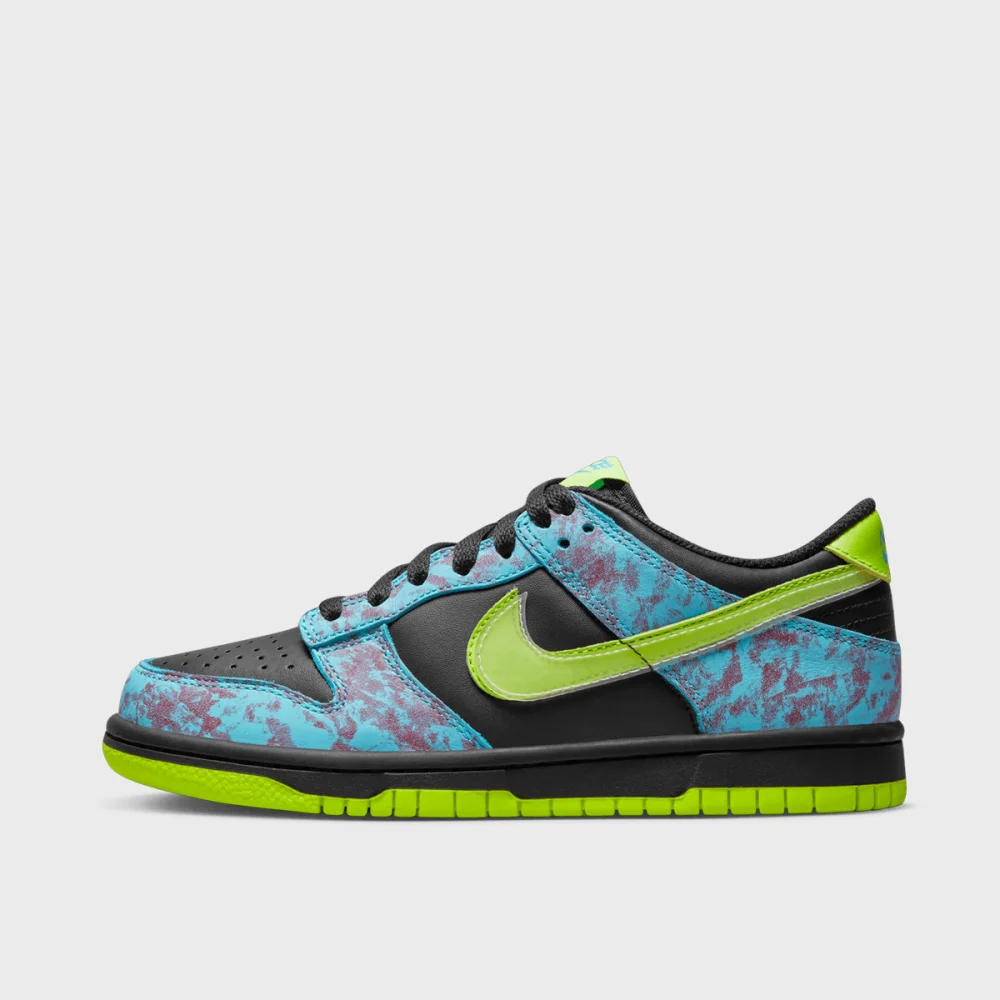 Nike Dunk Low SE DV1694-900 / bunt