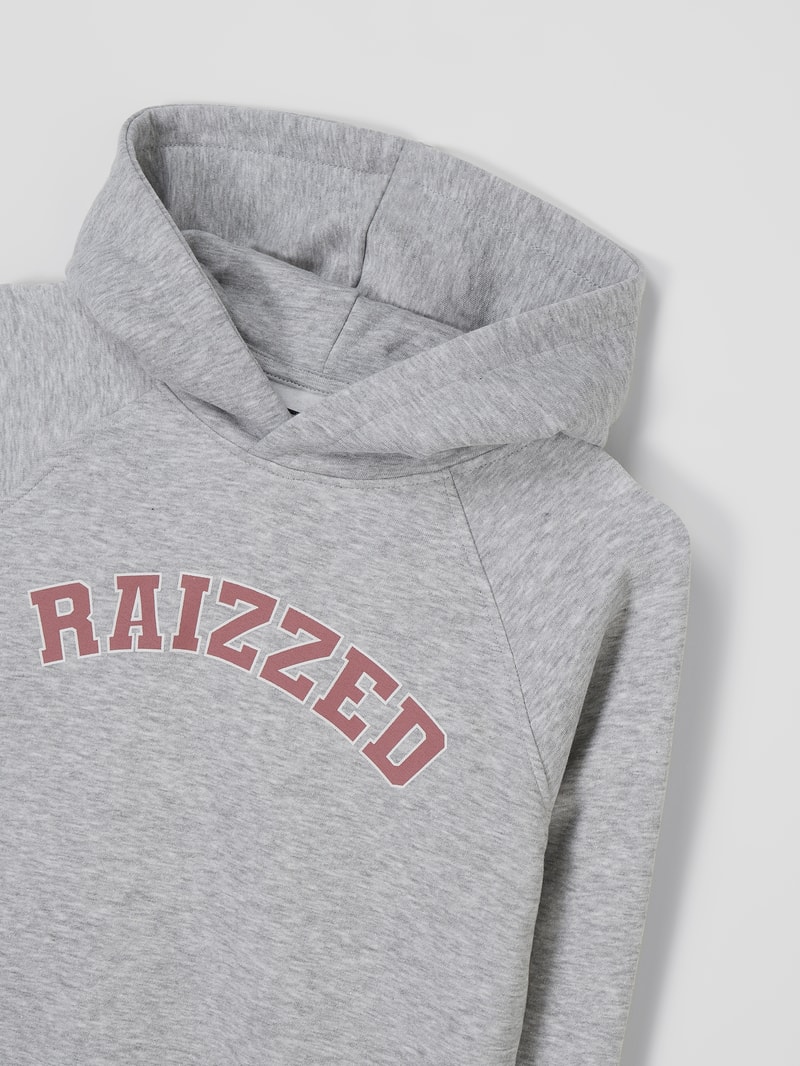 Hoodie mit Logo-Print Modell 'Charlotte' in hellgrau meliert
