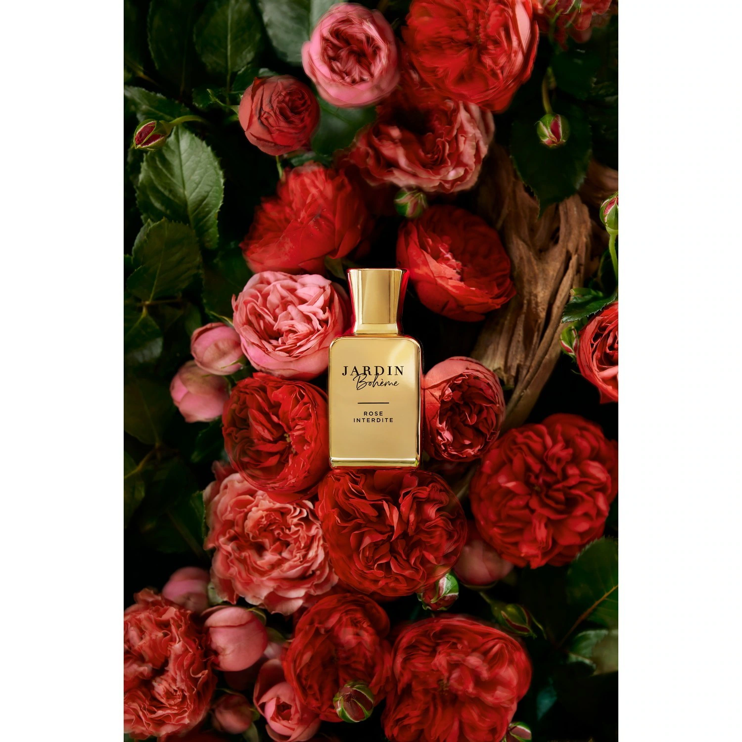 Bohemsk hage Forbudt rose